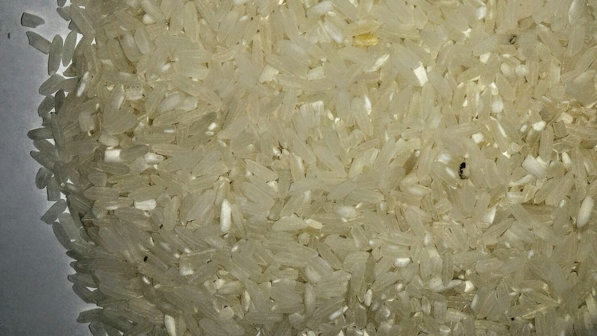 membuat jimat beras sendiri